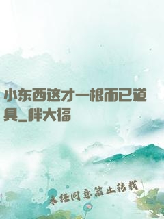 小东西这才一根而已道具