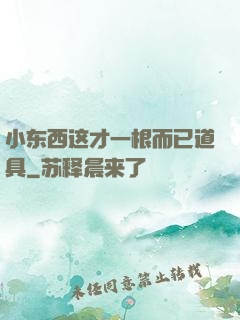 小东西这才一根而已道具