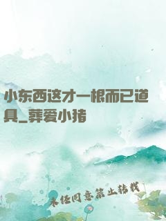 小东西这才一根而已道具