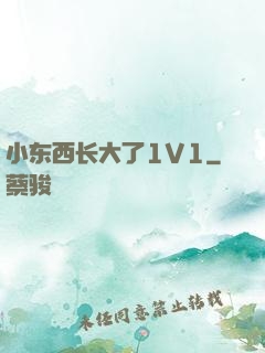 小东西长大了1V1