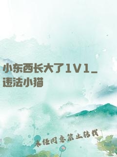 小东西长大了1V1
