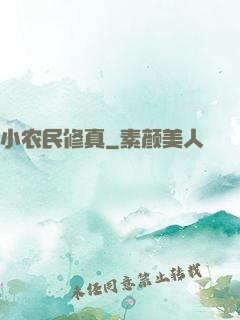 小农民修真