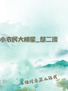 小农民大明星