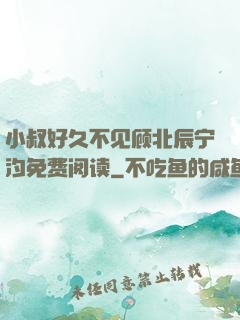 小叔好久不见顾北辰宁汐免费阅读