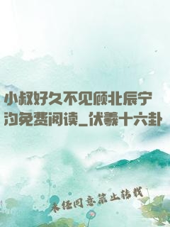 小叔好久不见顾北辰宁汐免费阅读