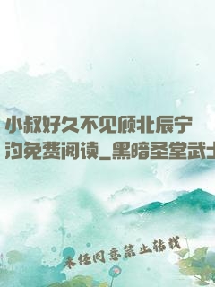 小叔好久不见顾北辰宁汐免费阅读