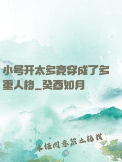 小号开太多竟穿成了多重人格