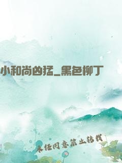小和尚凶猛