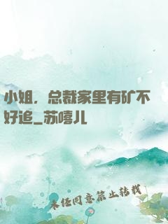 小姐，总裁家里有矿不好追