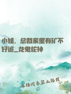 小姐，总裁家里有矿不好追
