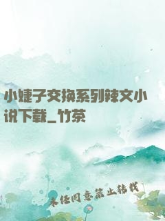 小婕子交换系列辣文小说下载