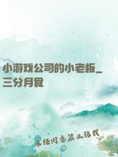小游戏公司的小老板