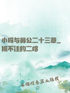 小玲与翁公二十三章