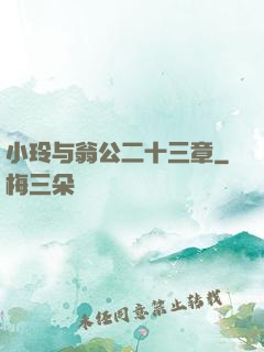 小玲与翁公二十三章