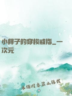 小胖子的穿梭戒指