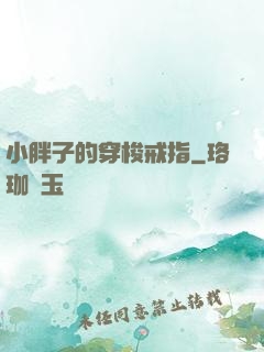 小胖子的穿梭戒指