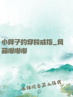 小胖子的穿梭戒指