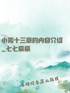 小芳十三章的内容介绍