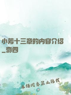 小芳十三章的内容介绍