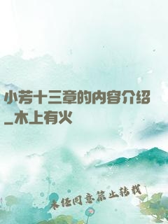 小芳十三章的内容介绍