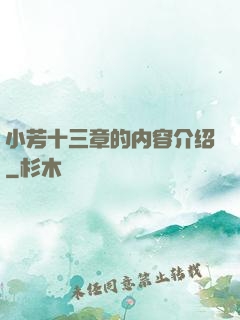 小芳十三章的内容介绍