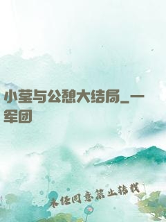 小莹与公憩大结局