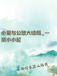 小莹与公憩大结局