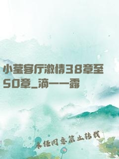 小莹客厅激情38章至50章