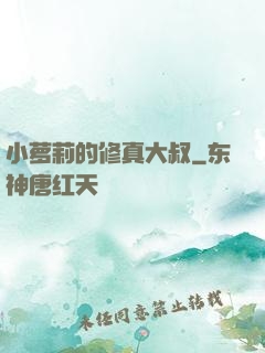 小萝莉的修真大叔