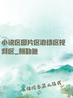 小说区图片区激情区视频区