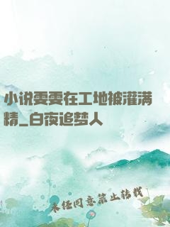 小说雯雯在工地被灌满精