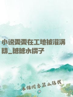 小说雯雯在工地被灌满精