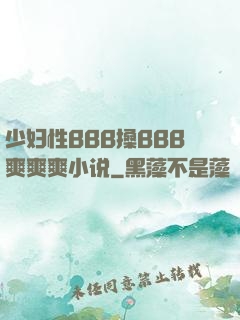 少妇性BBB搡BBB爽爽爽小说