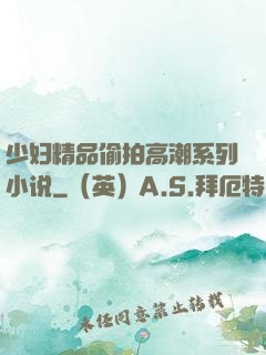 少妇精品偷拍高潮系列小说