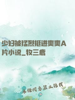 少妇被猛烈挺进爽爽A片小说