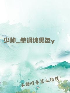 少帅