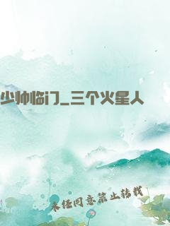 少帅临门