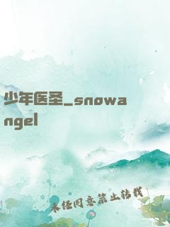 少年医圣