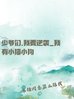 少爷们,我要逆袭