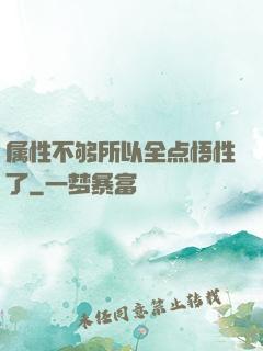 属性不够所以全点悟性了