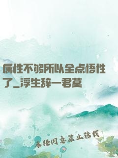 属性不够所以全点悟性了