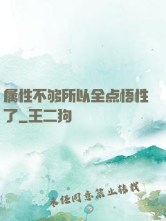 属性不够所以全点悟性了