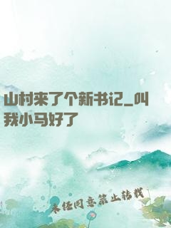 山村来了个新书记