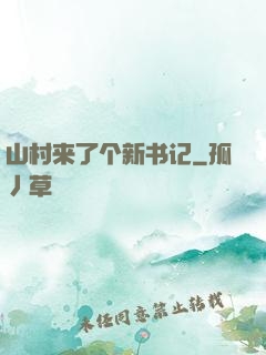 山村来了个新书记