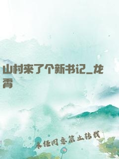 山村来了个新书记