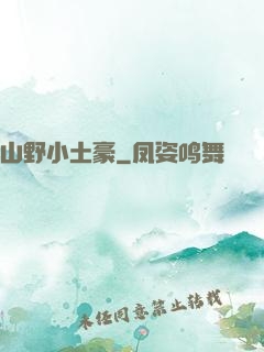 山野小土豪