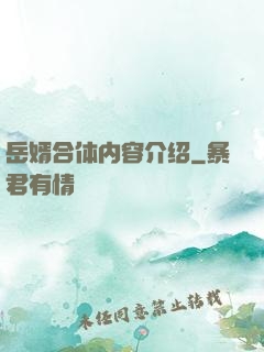 岳婿合体内容介绍