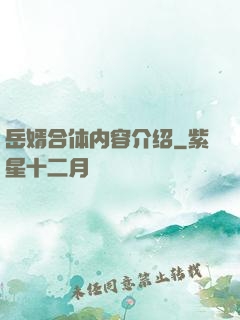 岳婿合体内容介绍