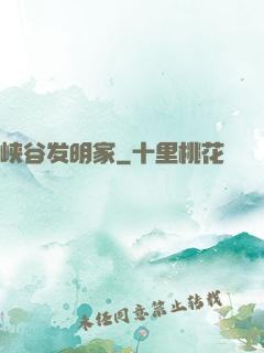 峡谷发明家