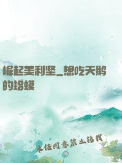 崛起美利坚